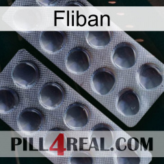 Fliban 31